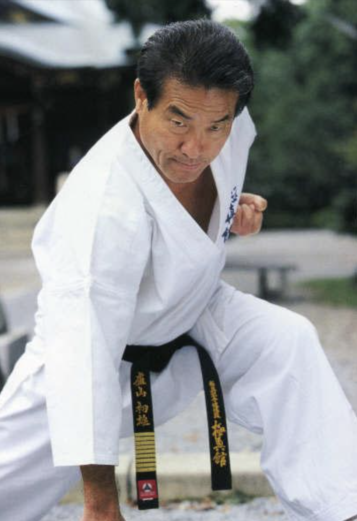 Hanshi Hatsuo Royama